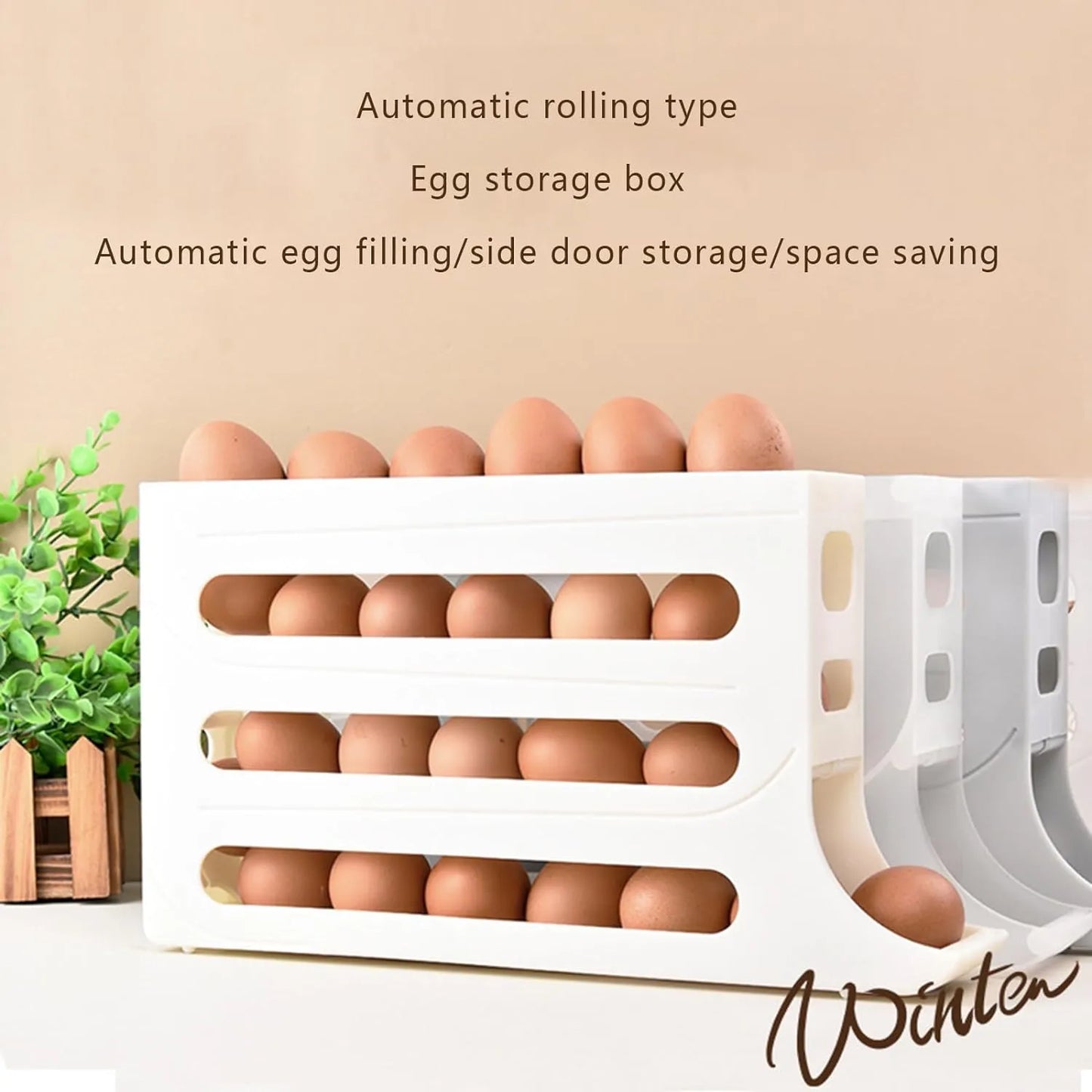 Egg-Cellent Fridge Organizer